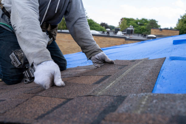 Quick and Trustworthy Emergency Roof Repair Services in Amador Pines, CA